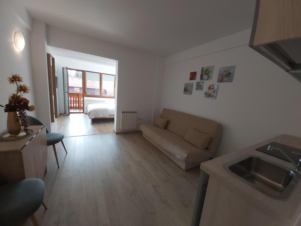 Studio Montana Poiana Brasov Extérieur photo
